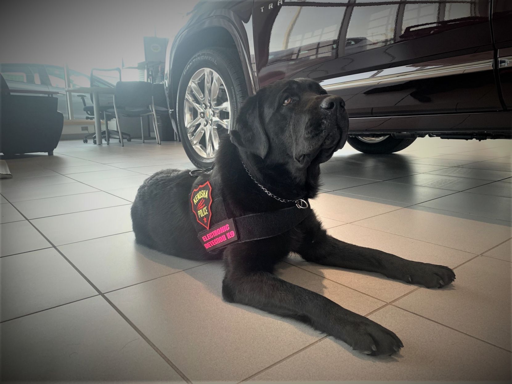Local dealership provides wheels for new KPD K9